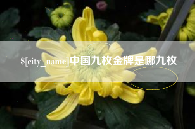 尉氏中国九枚金牌是哪九枚