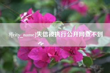 尉氏失信被执行公开网查不到