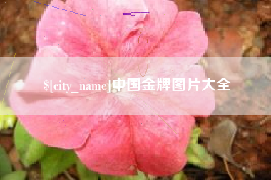 尉氏中国金牌图片大全