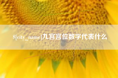 尉氏九宫宫位数字代表什么