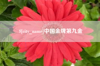 尉氏中国金牌第九金
