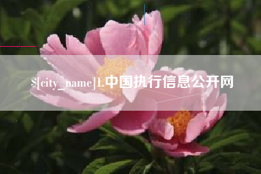 尉氏1.中国执行信息公开网