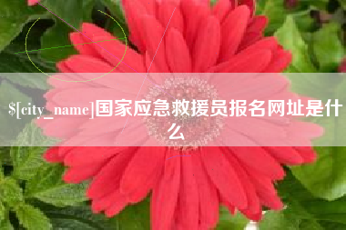 尉氏国家应急救援员报名网址是什么
