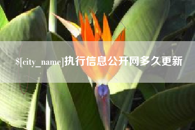 尉氏执行信息公开网多久更新