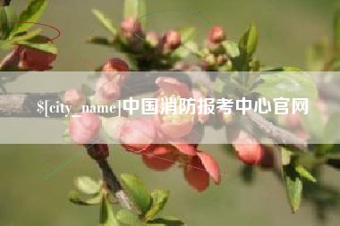 尉氏中国消防报考中心官网
