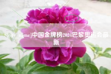 尉氏中国金牌榜2024巴黎奥运会最新