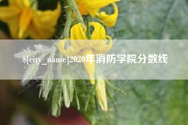 尉氏2020年消防学院分数线