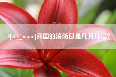 尉氏我国的消防日是几月几号？