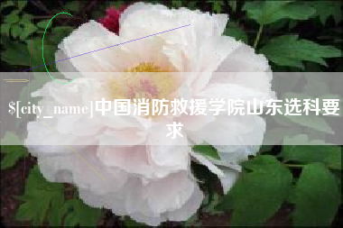 尉氏中国消防救援学院山东选科要求