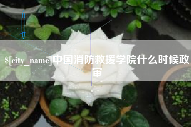 尉氏中国消防救援学院什么时候政审