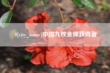 尉氏中国九枚金牌获得者