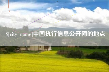 尉氏中国执行信息公开网的地点