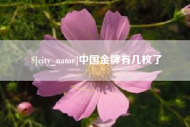 尉氏中国金牌有几枚了