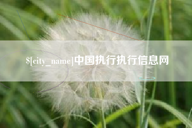 尉氏中国执行执行信息网