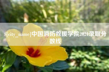 尉氏中国消防救援学院2021录取分数线