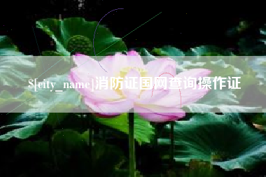 尉氏消防证国网查询操作证