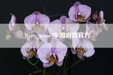 尉氏中国消防官方