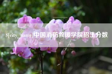 尉氏中国消防救援学院招生分数