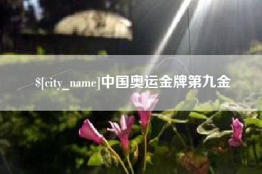尉氏中国奥运金牌第九金