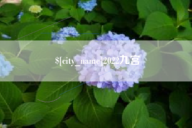 尉氏2022九宫
