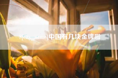 尉氏中国有几块金牌啦