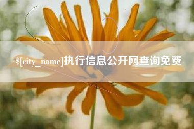尉氏执行信息公开网查询免费