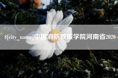 尉氏中国消防救援学院河南省2020